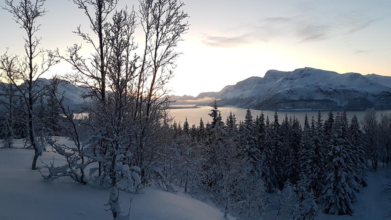 فيلا Slettvold Lyngen Svensby المظهر الخارجي الصورة